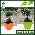 decorative plant square pots outdoor